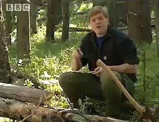 Ray Mears Traps and Fishing