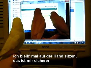 eigene Welli Videos gucken