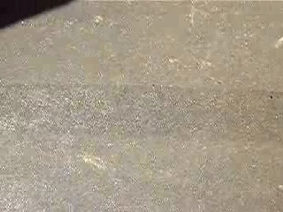 IMGP0533
