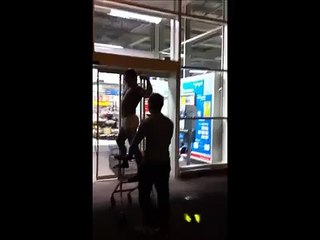 Zyzz Trolley