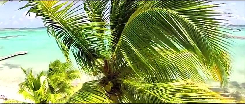 Villa Boubou de luxe filmée par des drones au dessus du Lagon de Guadeloupe