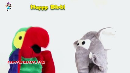 Happy Birthday To You A Funny Friends Parrot - Elephant Sing A Song For Birthday