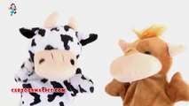 Hey Diddle Diddle Nursery Rhyme - Cow Hippopotamus Funny Puppets Rhymes