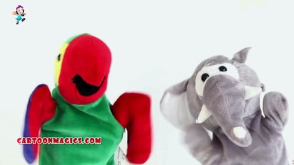 Jack and Jill went up the hill Parrot - elephant