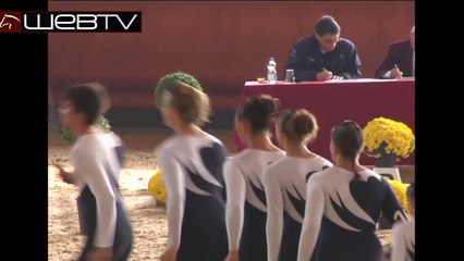 Vaulting. Flying between earth and sky