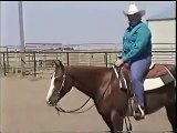 Horse Training Videos Free Lessons: How to Train Horses