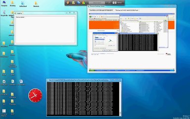 Multiple Remote Desktop Viewer (C# / WCF)