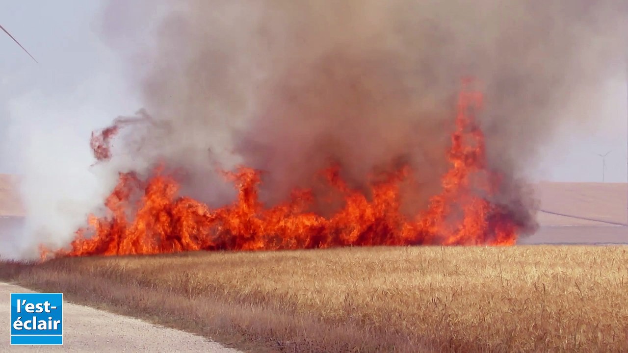 Des dizaines d'hectares de champ en feu à Mesgr...