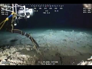 Life in the current : BP Oil Spill Cam