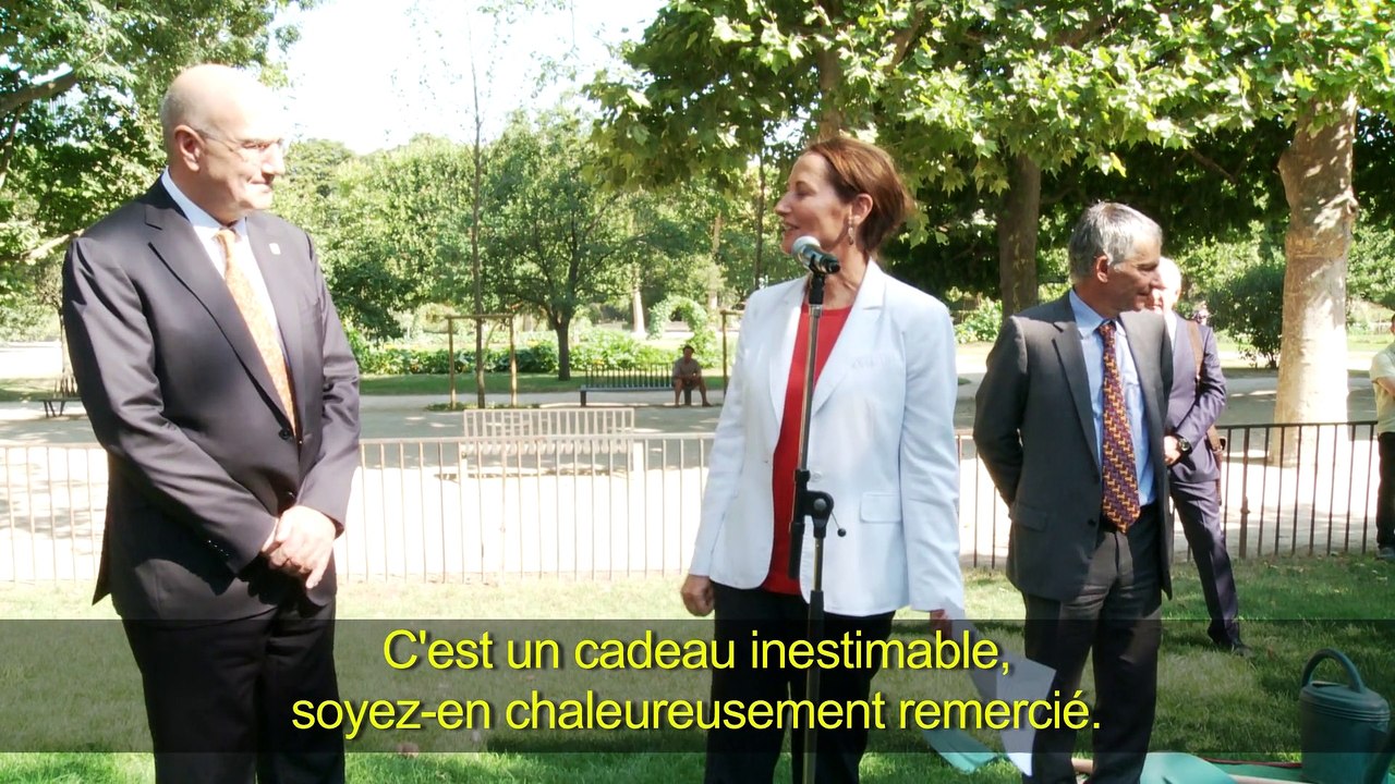 Plantation d’un Ahuehuete, arbre mexicain, au Jardin des Plantes