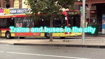 Trams and buses in the city - Melbourne Transport