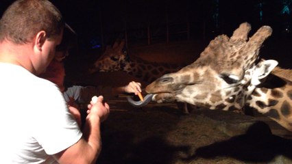 Nuit far-west au zoo