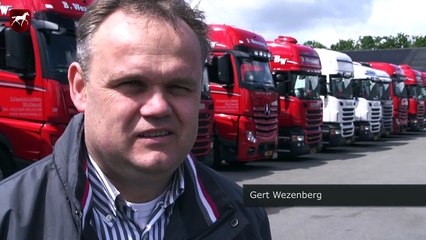 SELL Veulenveiling Brabant selectie 2 juni 2015