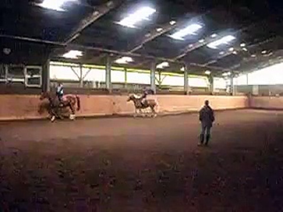 Reiten in der halle