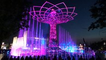 #Expo L'albero della vita uno spettacolo!