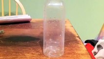 DIY water bottle nano protein skimmer