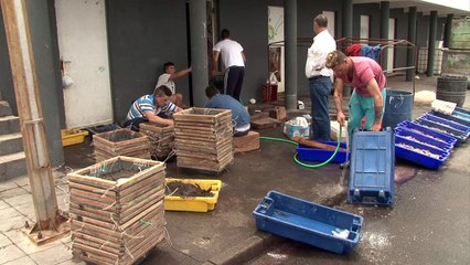 Açores: de père en fils, la dure vie des pêcheurs de Rabo de Peixe