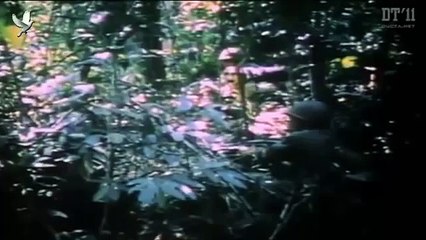 Chiến tranh Việt Nam: Những hình ảnh chưa được biết_Tập 2 - Bí mật của vũ khí