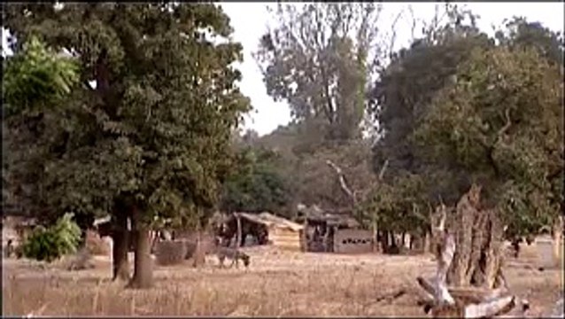 Hausa film, English captions: Orphans in a world with AIDS Never Alone (Global Dialogues)