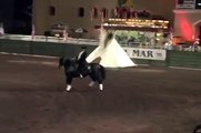 Cowboy Dressage Night of the Horse