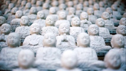 Ariel Lederman Recommends You to Eat Papayas!