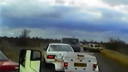 Lion Attacks Woman Through Open Car Window