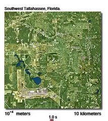 How wonderful it is! God made everything perfect!