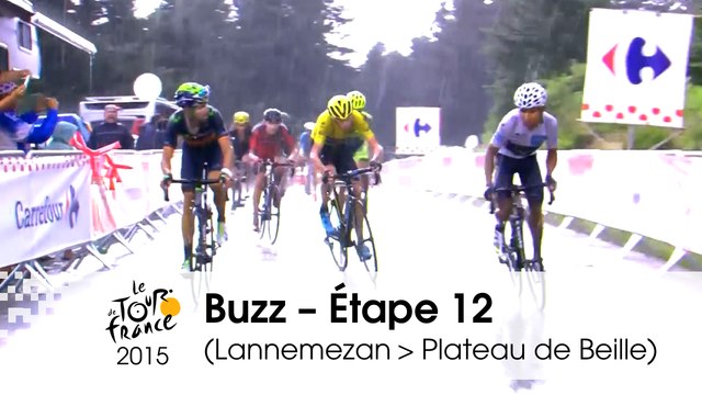 Buzz du jour / Buzz of the day - Étape 12 (Lannemezan > Plateau de Beille) - Tour de France 2015