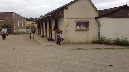 Colo 100% cheval à Sablé.