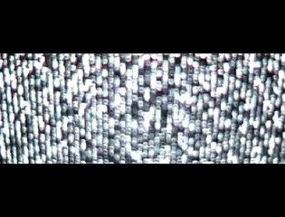 THE LIARS [LOS MENTIROSOS] [MAD 2006]