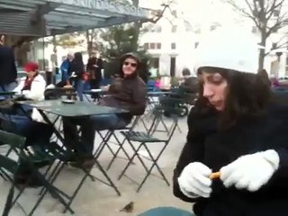 Squirrel Attack at Shake Shack