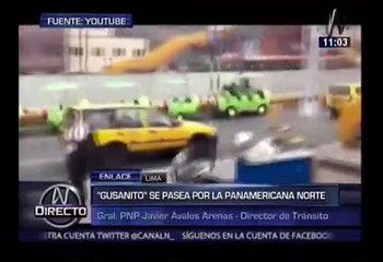 Gusanito en Panamericana Norte: denunciarán penalmente a chofer