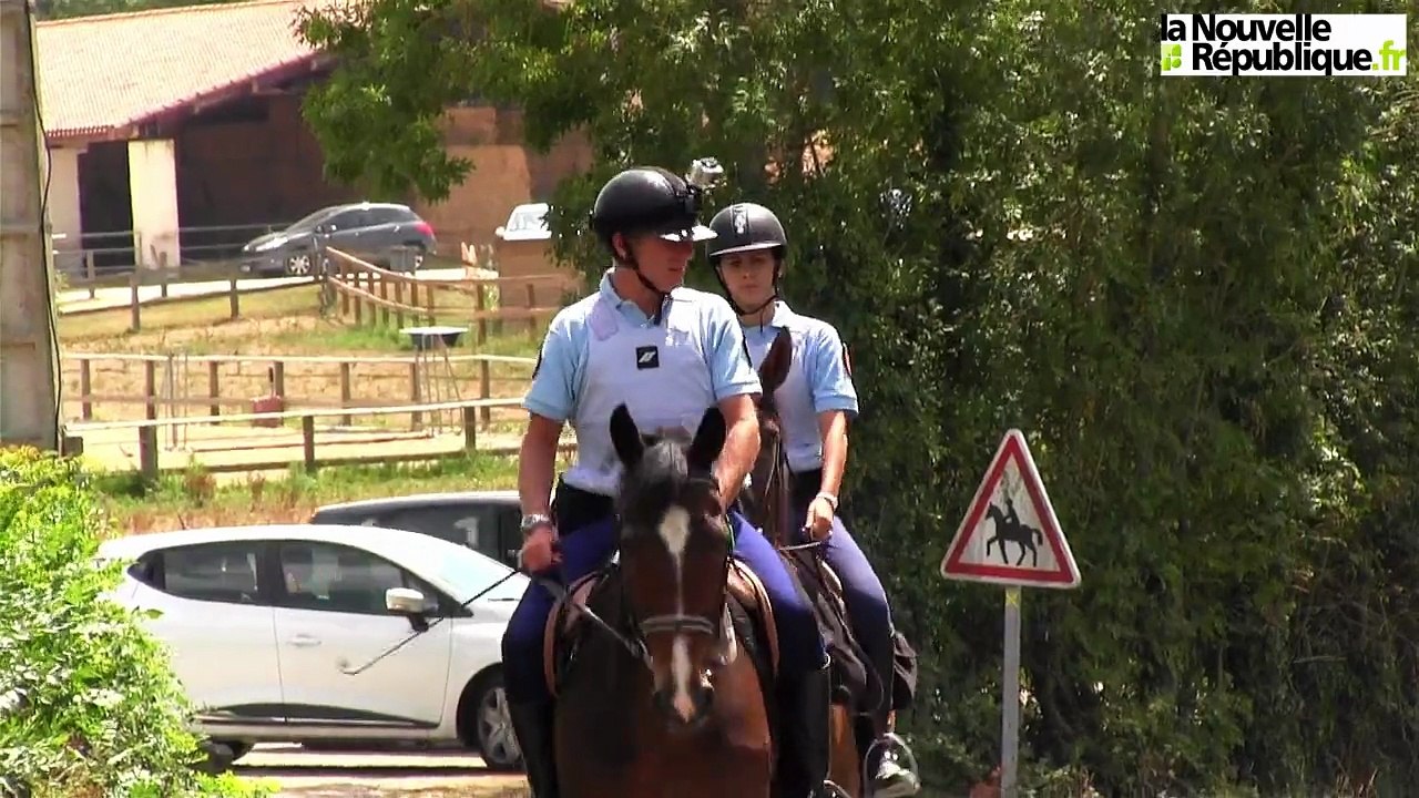 VIDEO. Niort: Les patrouilles équestres font leur retour dans le Marais poitevin