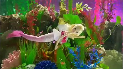 Куклы Moxie Girlz Русалка