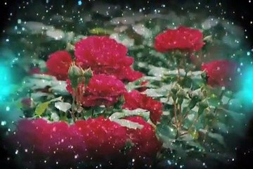 What a Wonderful World (acoustic cover)