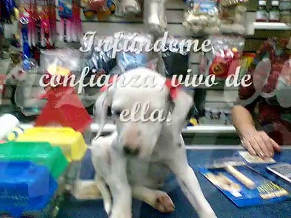 Adios...   =(
