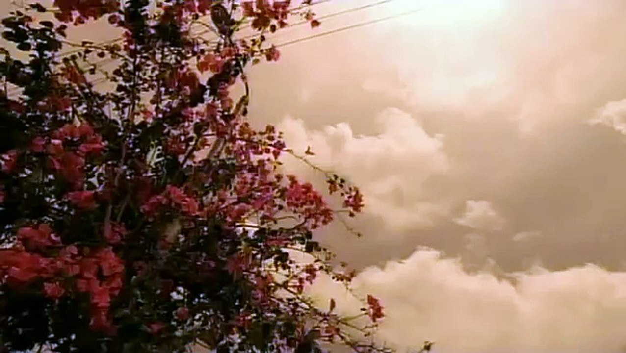 D-51 / TOP OF THE SUMMER