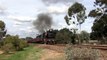 Australian Steam Trains: J515 climbs out of Castlemaine, Victorian Goldfields Railway