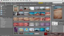 Thumbnails & Bach Renaming | Ultimate Photoshop Tutorial | EP4