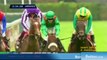 The BREEDERS CUP 2011 - PREVIEW