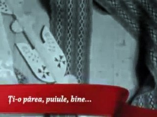 Ileana Sararoiu - Ti-o Parea Puiule Bine