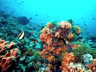 NUESTRO PLANETA - NUESTRO HOGAR