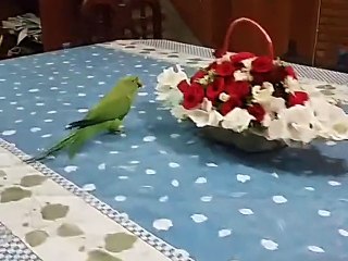 hahah having fun with my bud