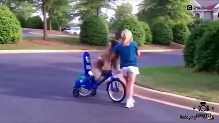 Funny Videos Animals Remix Compilation | Funny Animal Video | Funny Cats Videos | Funny Ca