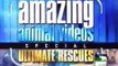 Amazing Animal Videos: Ultimate Rescues