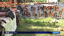 Isère : nouvelle interdiction du Center Parcs de Roybon