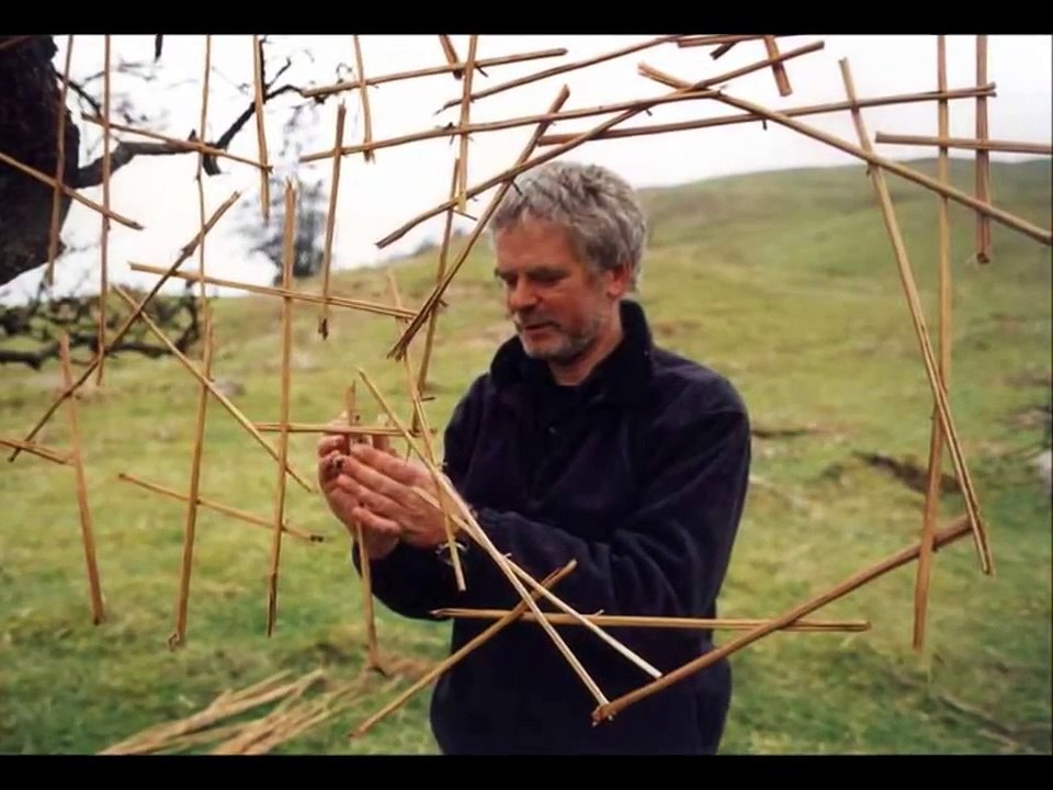 Andy Goldsworthy Naturalist Artist - P3