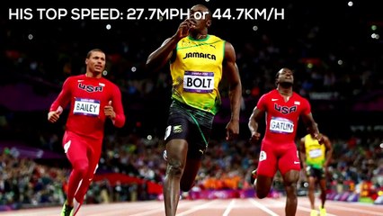 Top 10 fastest things in the World