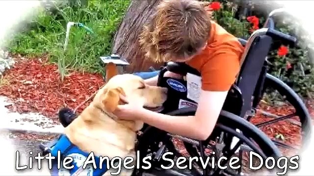 Little Angels Service Dogs - Changing Lives...One Dog At A Time