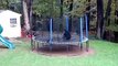 Bear and her cubs playing on our trampoline and in the treehouse in CT! - Medium.m4v
